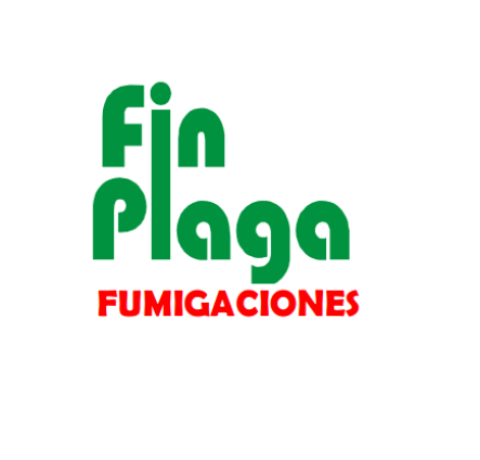 Captura de pantalla 2024-02-01 112413